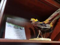 关于塌蘳焞霌螃E鴈?疋.?宊僌?e"琋0?的信息-乐竟网页版入口